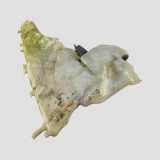 Fensterwaschtank VOLVO S40 II (MS) 2.0 D 30657122