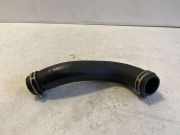 Schlauch Kühlung PEUGEOT EXPERT Furgon 1.6 BlueHDi 95
