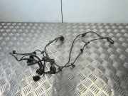 Kabelbaum VW Passat B7 Alltrack (36, B7) 3C0971095R