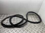 Türgummi rechts vorne Audi A4 (8W, B9) 8W0831721