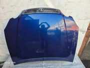 Motorhaube LEXUS GS (JZS160_, UZS161_, UZS160_) 300 (JZS160_)