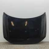 Motorhaube VW Tiguan II (AD) 5NA823031L