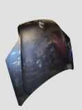 Motorhaube RENAULT LAGUNA Coupe (DT0/1) 2.0 dCi (DT01, DT09, DT12, DT1D)