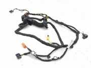 Kabel Tür vorne rechts AUDI Q4 SUV (F4B) 45 e-tron 2431407533T