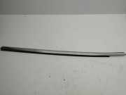 Türverkleidung links hinten Tesla Model S (5YJS)