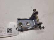 Türscharnier hinten links Peugeot 407 ()