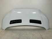 Motorhaube FORD TRANSIT 2.0 TDCi 2485550