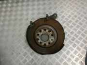 Radlagergehäuse rechts hinten VW Passat B8 Variant (3G)