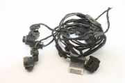 Parksensorsatz hinten BMW X5 (E70) 3.0 d 9139866 9219647