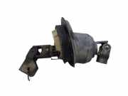 Lenksäulenwelle RENAULT LAGUNA III (BT0/1) 2.0 dCi (BT01, BT09, BT12, BT1S) 1434P0066
