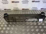 Ladeluftkühler BMW 5er (E60) 1700778744604