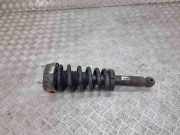 Stoßdämpfer rechts hinten Jaguar F-Type Coupe (QQ6) EX5380AD