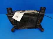 Ladeluftkühler NISSAN NOTE (E11, NE11) 1.5 dCi 144619U20A