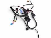 Kabel Tür Skoda Octavia III (5E) 5E1971120H