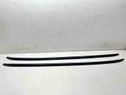 Dachreling links VW Passat B7 Alltrack (36, B7) VW482