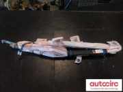 Airbag Dach links Tesla Model S (5YJS) 100526200D