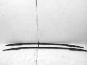 Dachreling links VW Tiguan I (5N)