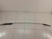 Dachgriff hinten links CITROËN C5 I Break (DE_) 2.2 HDi (DE4HXB, DE4HXE)