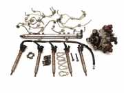 Einspritzanlage Diesel Volvo C30 (533) 0445010618