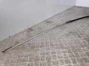 Dachleiste links CITROËN C6 (TD_) 2.7 HDi 8707009A6