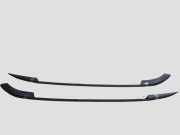 Dachreling links CITROËN C4 Picasso I (UD_) 2.0 HDi 138