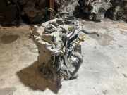 Motor NISSAN MICRA IV (K13) 1.2 DIG-S HR12