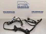 Kabel Tür Renault Trafic III Kasten (FG) 83915