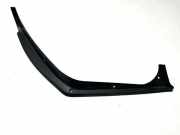 Andere Verkleidungsteile MERCEDES-BENZ C (W204) C 200 CDI (204.001) BBP162302 A2046931633