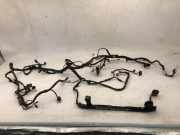 Kabelbaum Innenverkleidung BMW X4 (G02, F98) xDrive25d 64520141