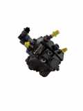 Kraftstoffpumpe Chevrolet Captiva (C100, C140) 0445010142