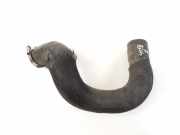 Schlauch für Luftversorgung Jeep Grand Cherokee IV (WK, WK2) 55038006AE