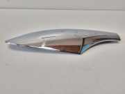 Griff Panoramadach VW Passat B7 Alltrack (36, B7) 3B9860150C