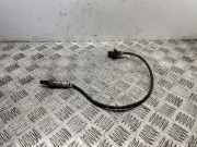 Sauerstoffsensor (Lambdasensor) AUDI A4 (8W2, B9) 2.0 TDI 8W0906265D