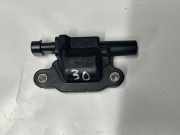 Zündspule Chevrolet Camaro 6 Convertible () 12669351