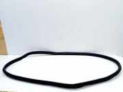 Vorderes rechtes Türdichtungsgummi BMW i4 (G26) eDrive40