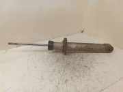 Stoßdämpfer hinten links