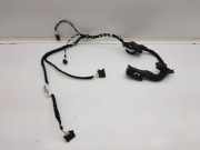 Türverkabelung hinten links VW TIGUAN (AD1) 1.5 TSI TAB016298EI