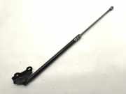 Heckklappe Gasdruckfeder rechts TOYOTA COROLLA Hatchback (_E21_) 1.8 Hybrid (ZWE211) 68950-02190