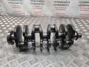 Kurbelwelle VW TOURAN (1T1, 1T2) 1.9 TDI 038C