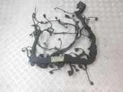 Motor Kabelbaum MERCEDES-BENZ E (W212) E 220 CDI / BlueTEC (212.001, 212.002) A6510104418