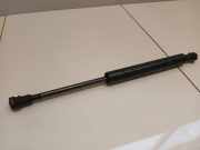 Gasfeder für Motorhaube BMW X5 (E53)