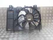 Elektrolüfter Citroen C5 III Break (RW) 3000257