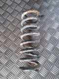 Schraubenfeder hinten links MERCEDES-BENZ E (W210) E 300 D (210.020)