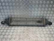 Ladeluftkühler Audi A5 (F53) 8K0145805G