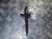 Einspritzdüse RENAULT VEL SATIS (BJ0_) 3.0 dCi (BJ0J, BJ0N) 8972391616