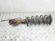 Stoßdämpfer vorne links CHEVROLET CAPTIVA (C100, C140) 2.2 D 4WD 8410PIWB8Q