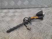 Antenne Dach Nissan X-Trail II (T31)
