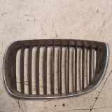 Vorderer oberer Gitter BMW 1 (E87) 118 d 22405910