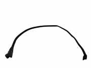 Türgummi links vorne Citroen DS5 () 9687440080