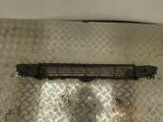 Gitter vorne unten TESLA MODEL 3 EV AWD 108592700C